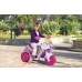 Электромобиль Peg Perego Raider Princess (ED 0917)